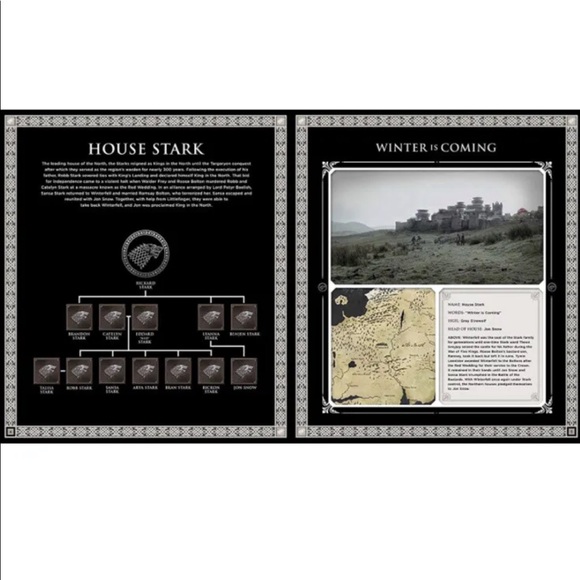 New Game of Thrones Mask - House Star Direwolf 3D Mask Wall Mount HBO - Picture 8 of 9